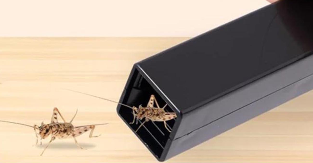 Dlaczego warto wybrać REPTI-ZOO Crickets Keeper?
