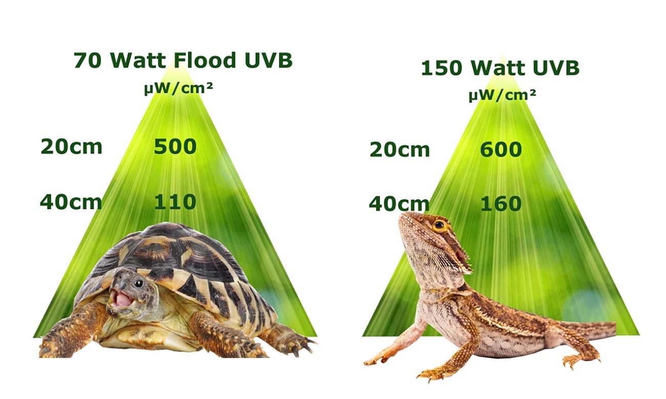 Jak Dobrać Odpowiednią Moc: 70W vs 150W?