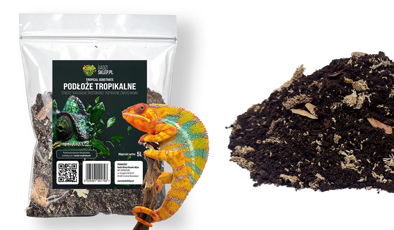 Podłoże tropikalne do Terrarium