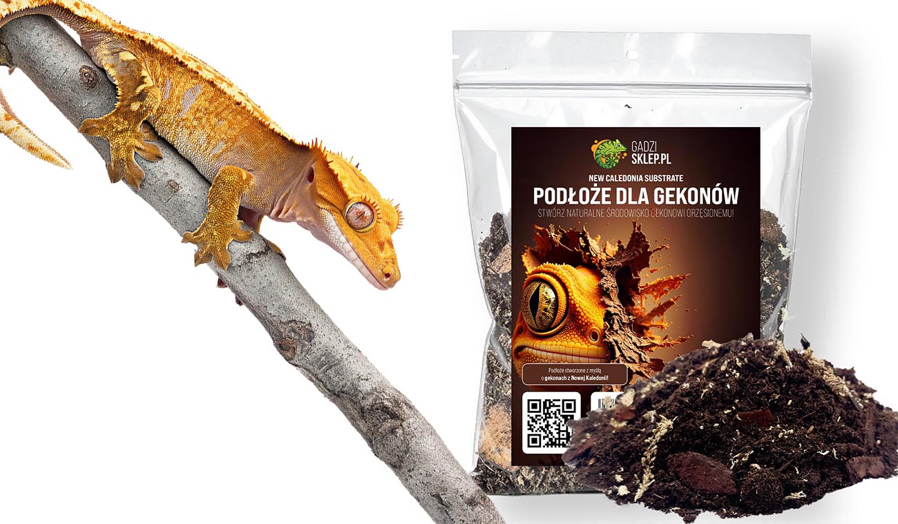 Podłoże dla gekonów orzęsionych New Caledonia Substrate