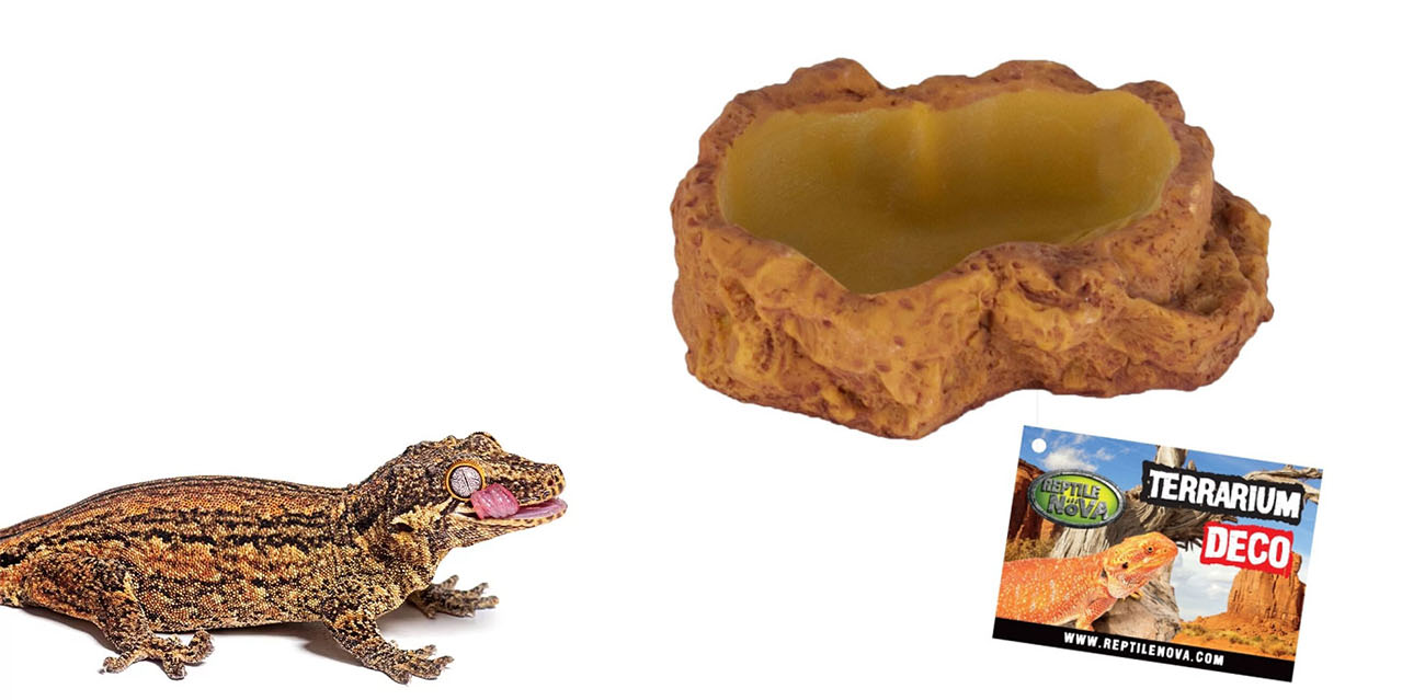 Reptile Nova Miska na Pokarm i Wodę "Piaskowiec" S 