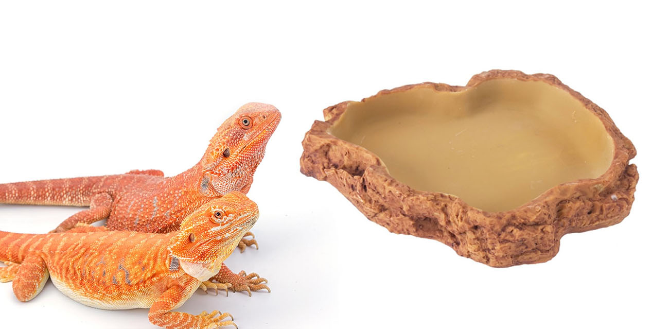 Reptile Nova Duża Miska na Pokarm "Skała" L