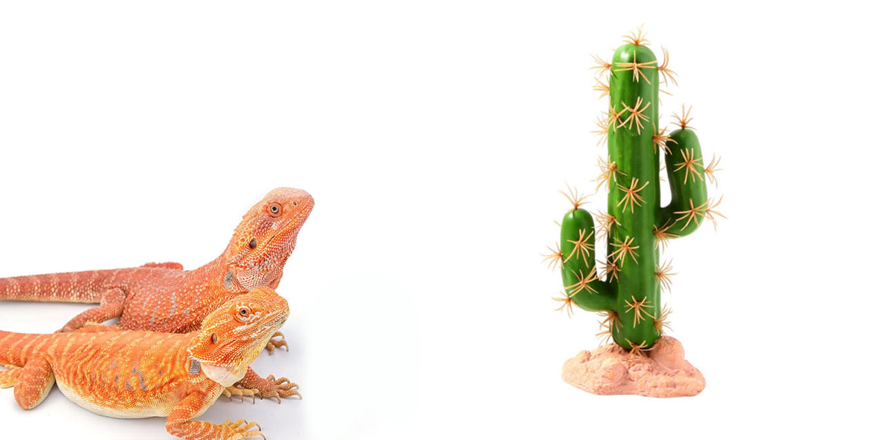 Reptile Nova sztuczny Kaktus 22cm - Roślina sztuczna do terrarium