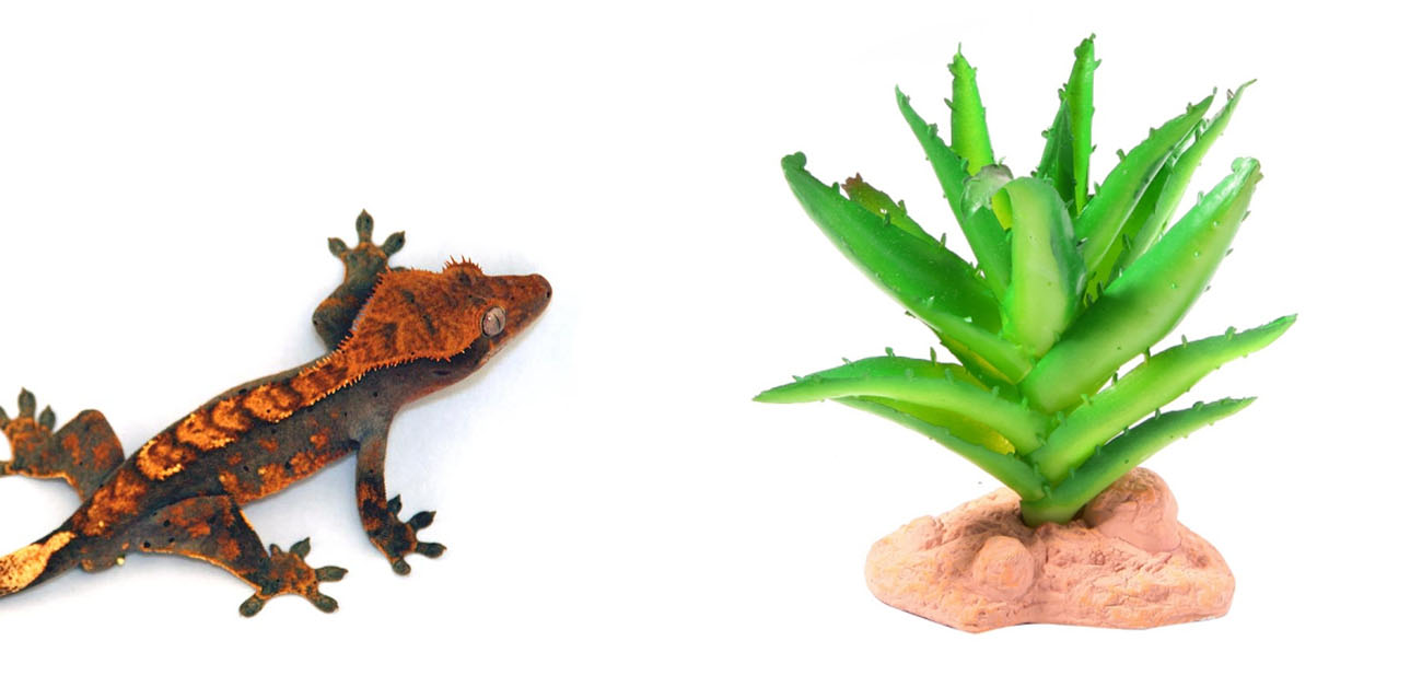 Reptile Nova Sztuczny Sukulent 13cm - Dekoracja Pustynna