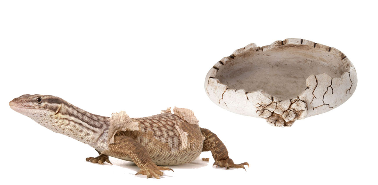Reptile Nova Miska "Jajo Dinozaura" DinoEgg 16cm