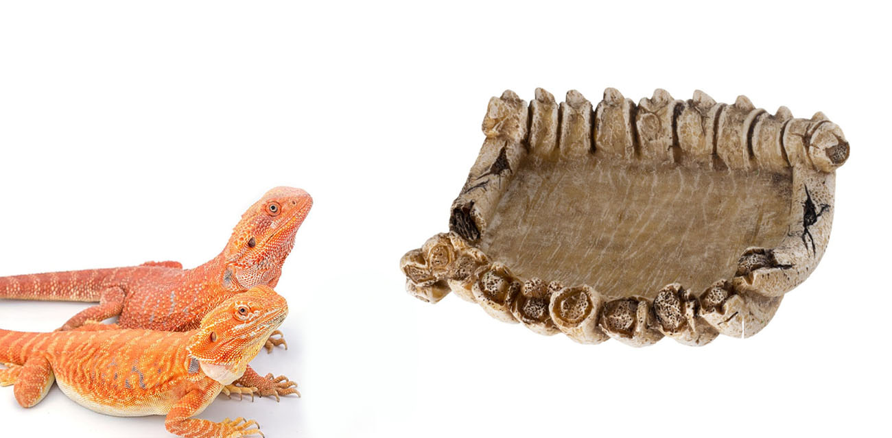 Reptile Nova Miska "Kości" 14cm