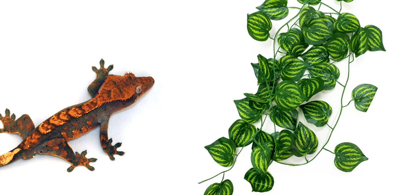 Reptile Nova Sztuczny Bluszcz Pnący 230cm - Liana do Terrarium