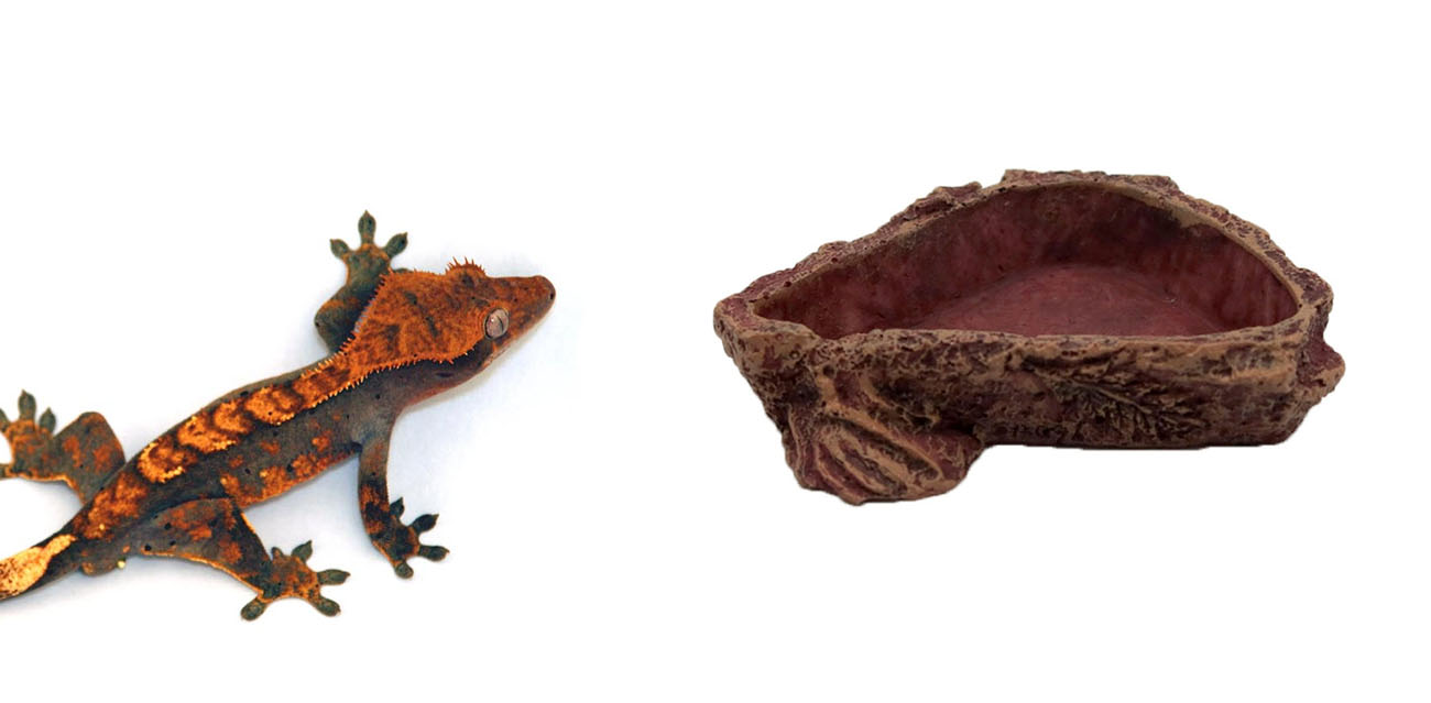 Reptile Nova Wysoka Miska / Poidło 10cm