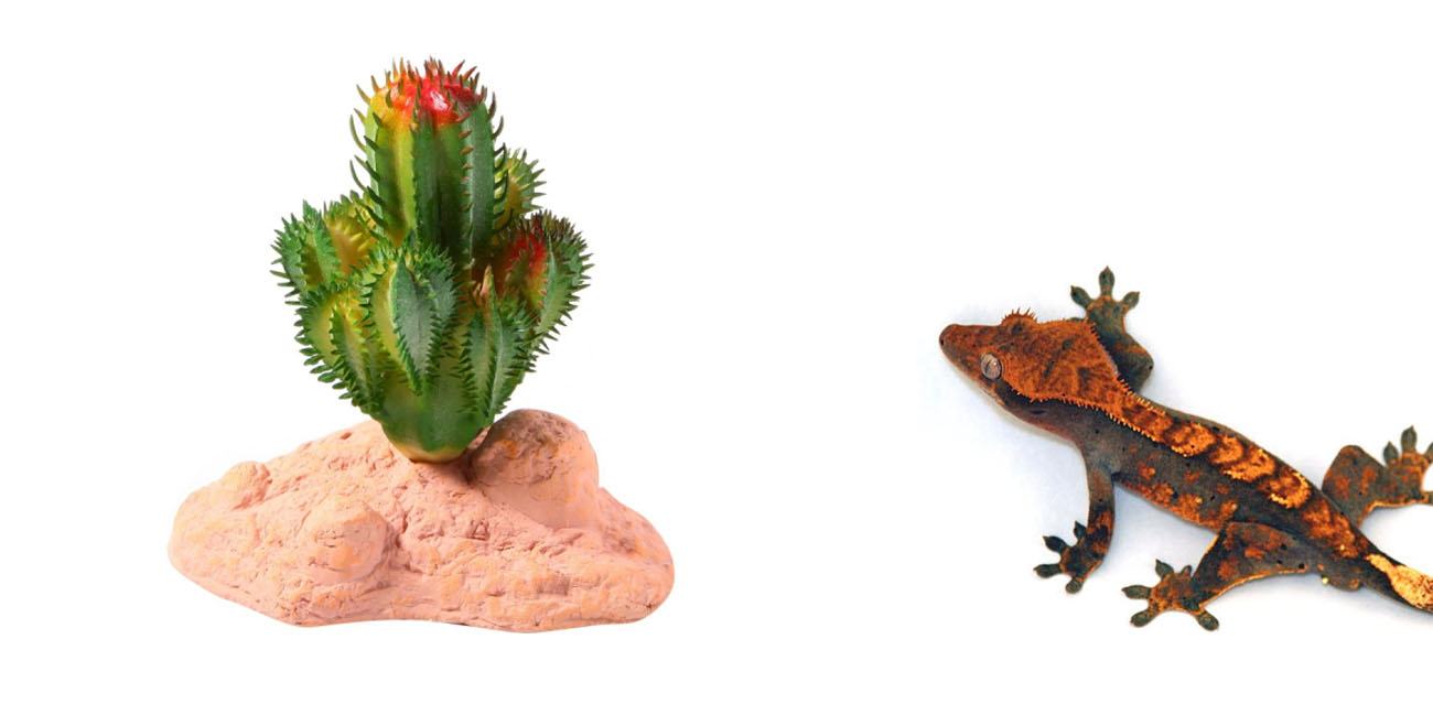Reptile Nova Mały Sztuczny Kaktus 10cm - Dekoracja Pustynna