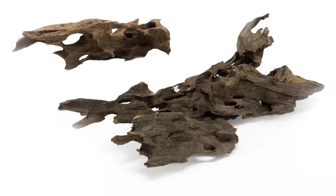 Korzeń Dragon DriftWood