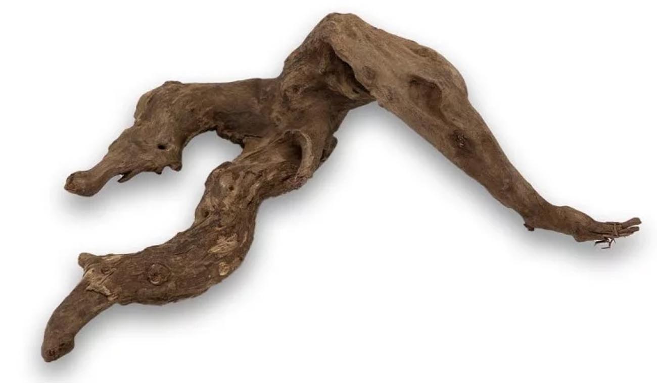 Korzeń Hard DriftWood do terrarium i akwarium