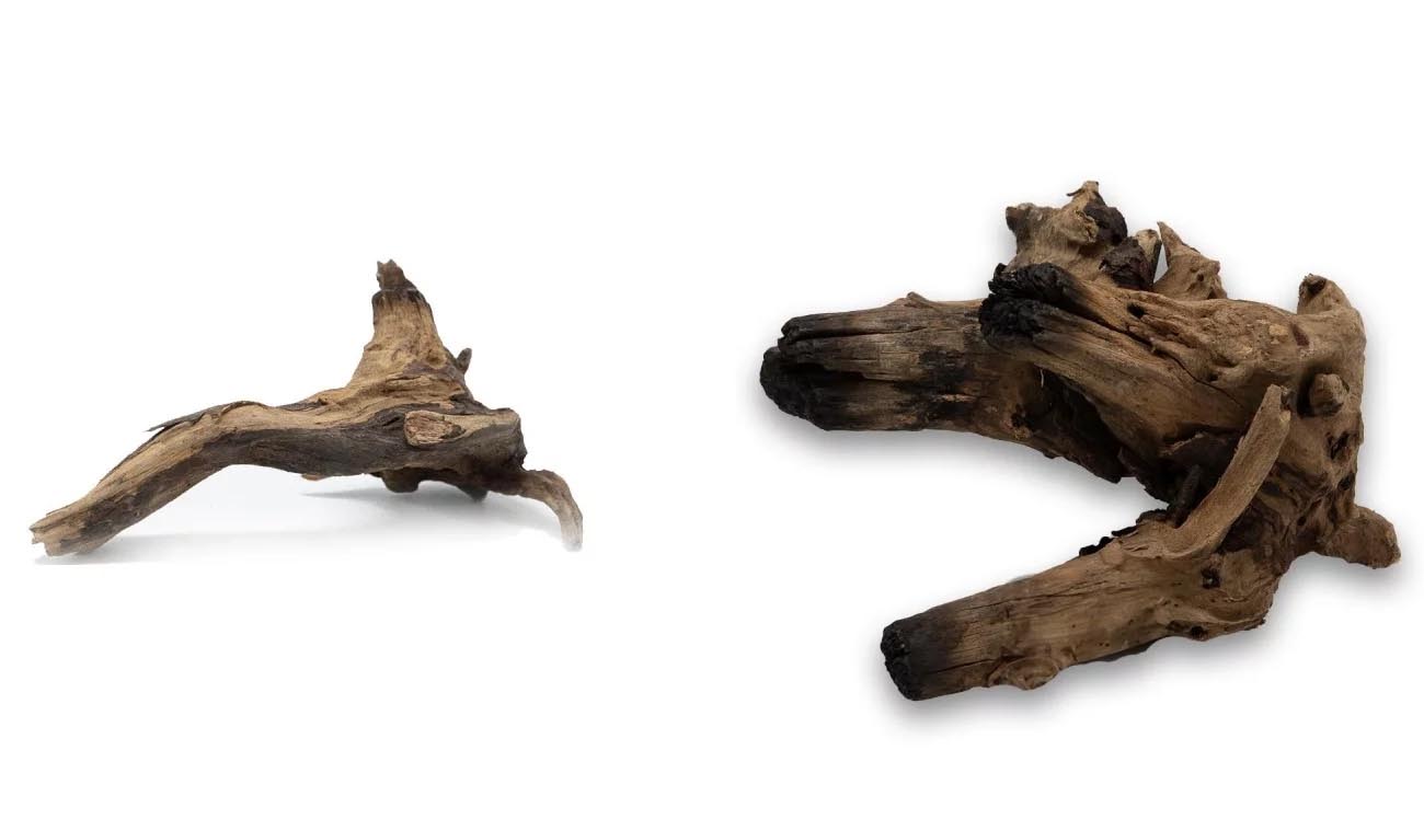 Korzeń Hard DriftWood