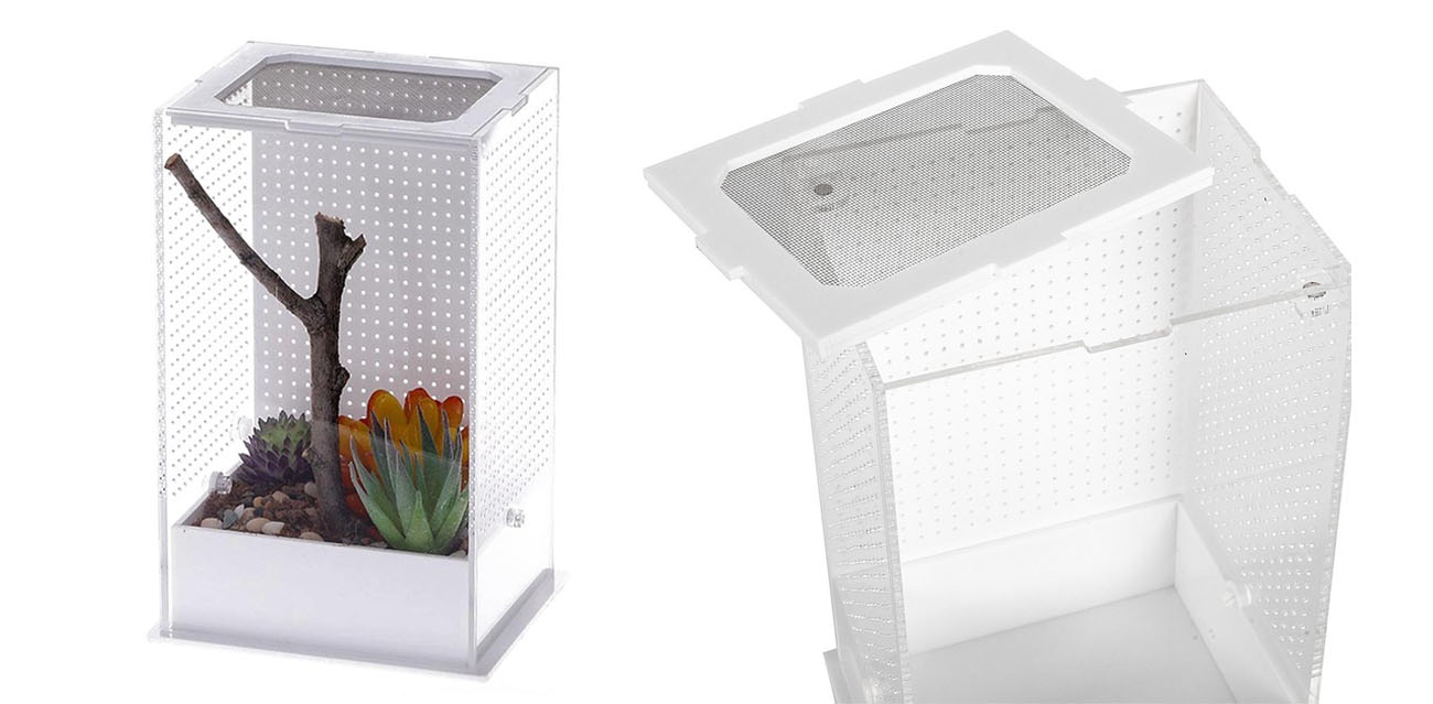 Repti-Zoo Akrylowe Terrarium dla Modliszek "Mantis Box" M 15,5cm