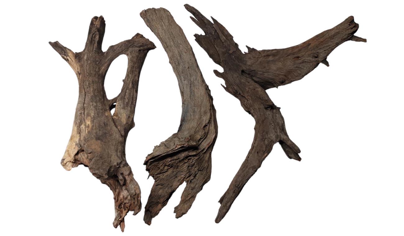 Dlaczego warto wybrać korzeń Buddha DriftWood?