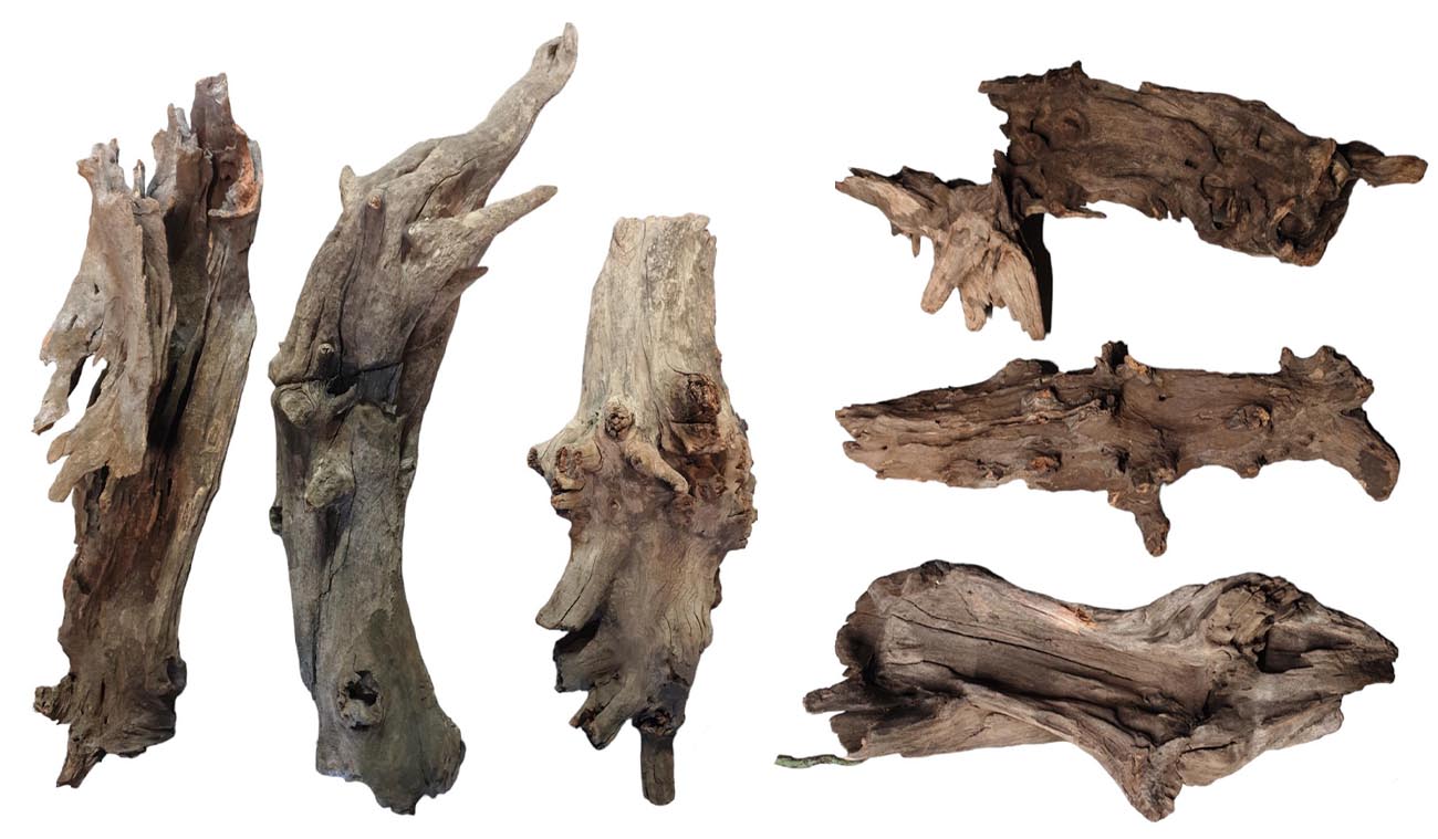 Korzeń Buddha DriftWood