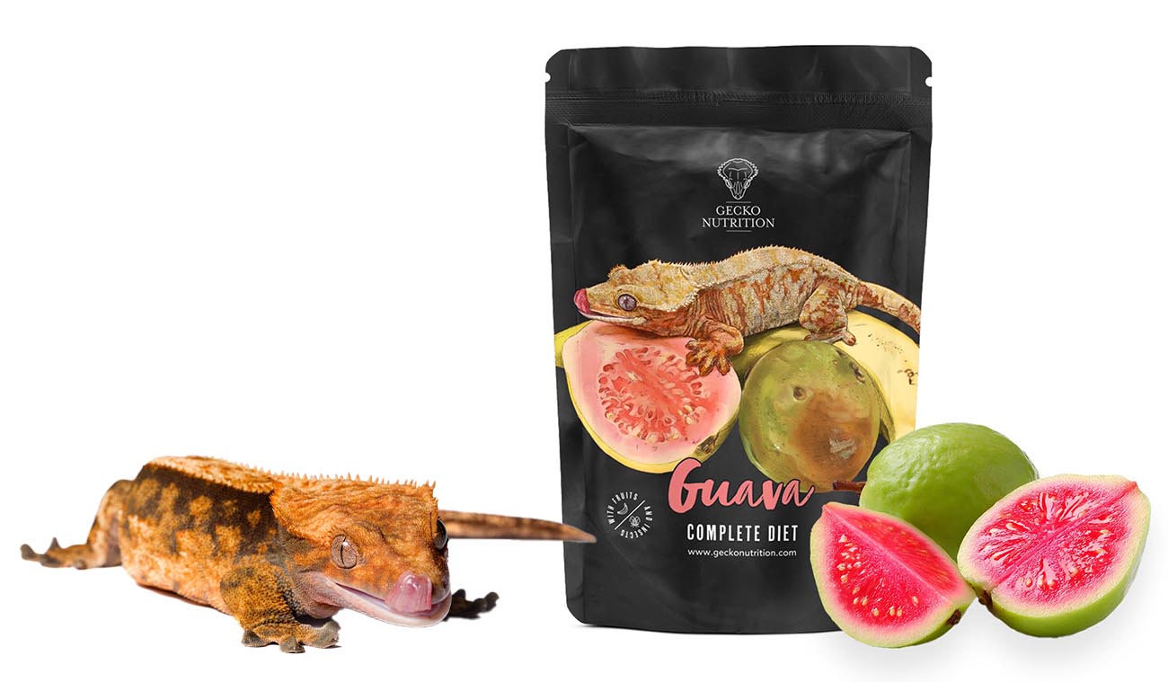 Gecko Nutrition Banan i Guawa