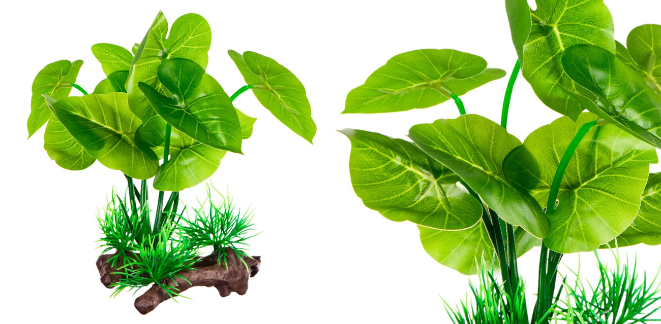 Kruger Meier Kompozycja "Korzeń z Rośliną" Grower Root 16cm