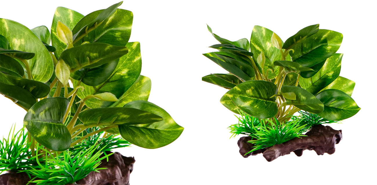 Kruger Meier Kompozycja "Fikus na Korzeniu" 13cm (Ficus Root)