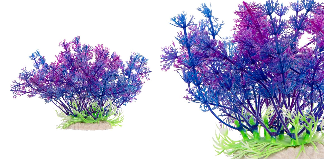 Kruger Meier Roślina Ozdobna "Sea Bloom" 12cm (Fioletowo-Granatowa)