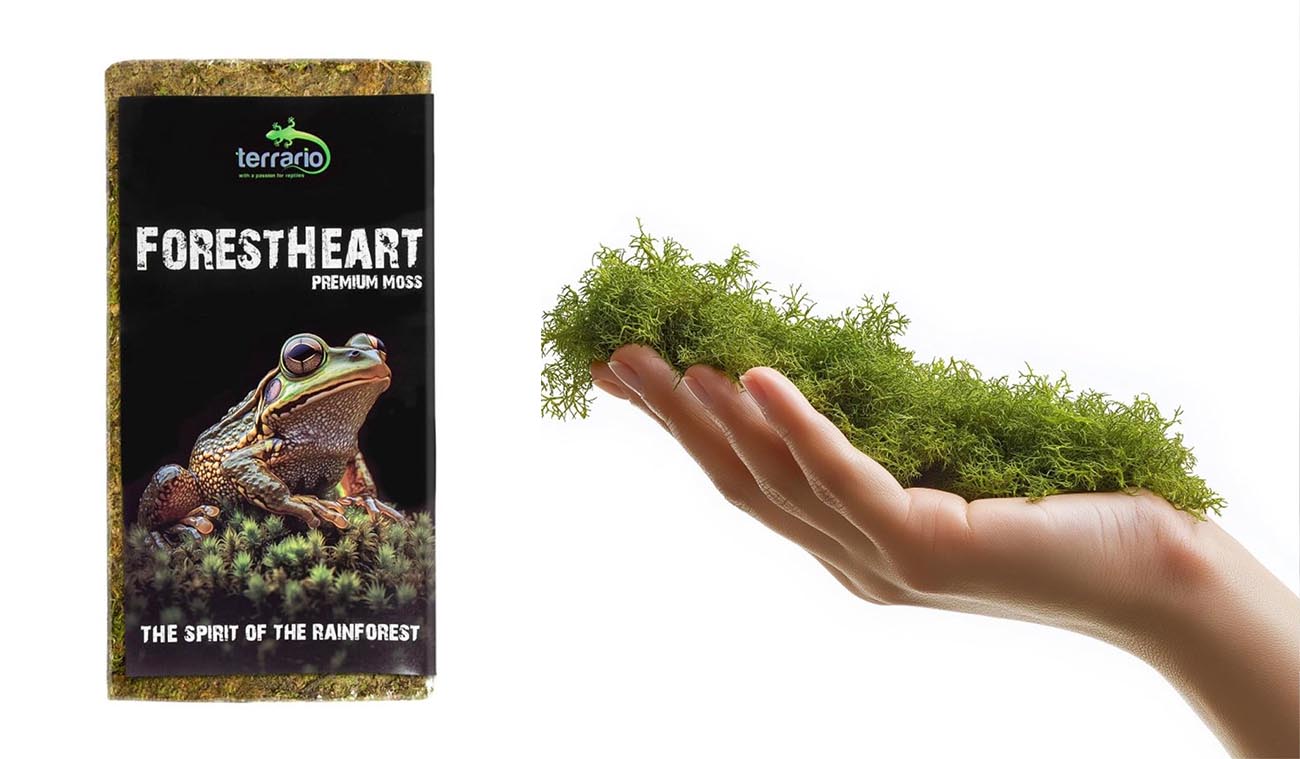Mech torfowiec 100g – Sphagnum TERRARIO