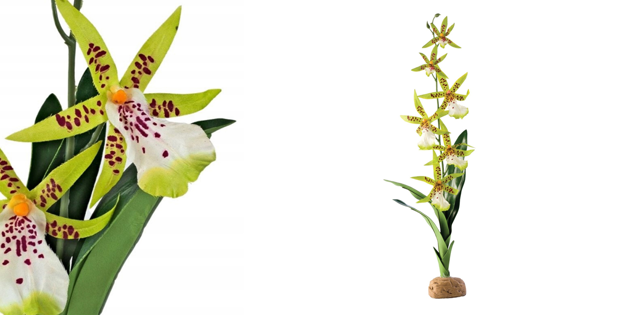 EXO TERRA sztuczny storczyk "Spider Orchid" 43cm