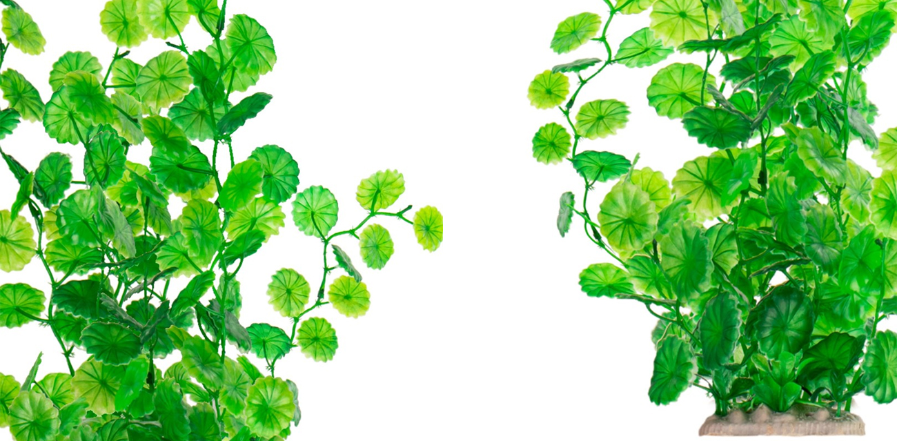 Kruger Meier wysokie pnącze "Leafy Climber" 40cm