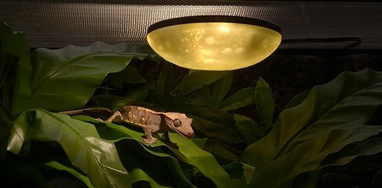 EXO TERRA Full Moon 1W – automatyczna lampa księżycowa (nocna)