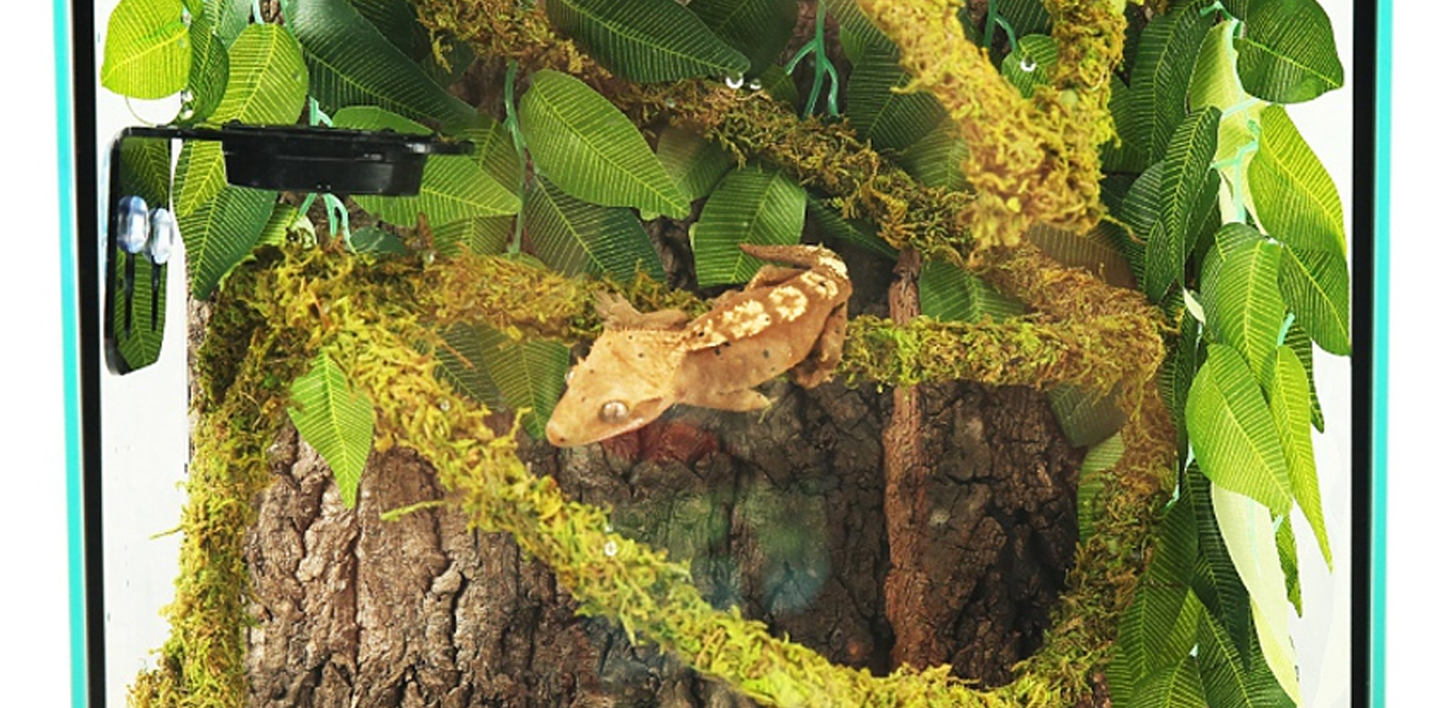 Solidny grunt pod łapami (i nie tylko)