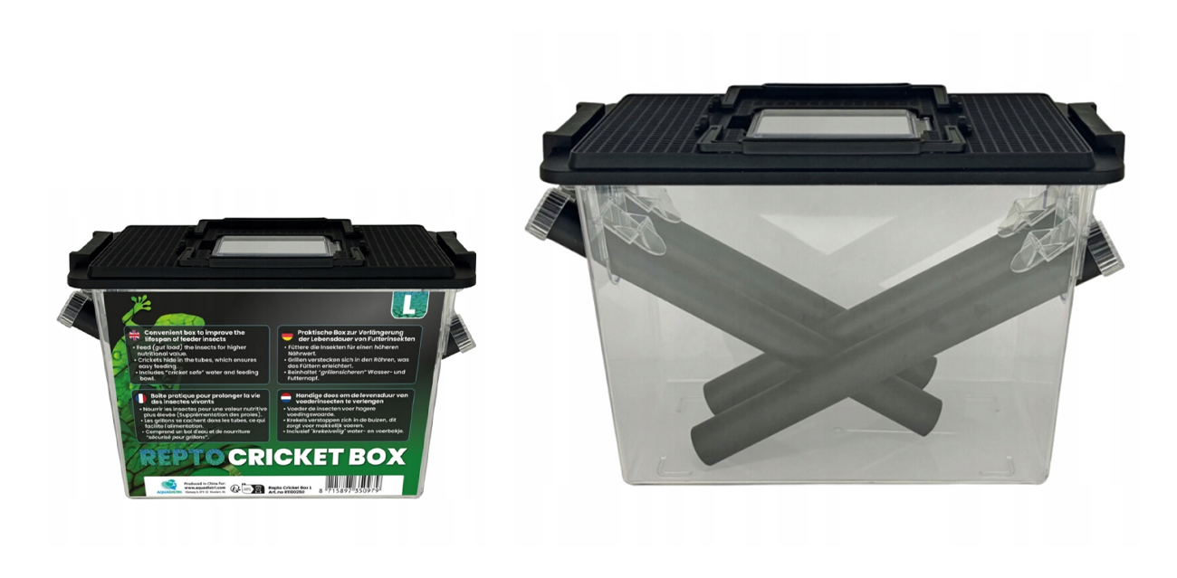 Repto Cricket Box L (30x15x20 cm) – duży "hotel" dla świerszczy