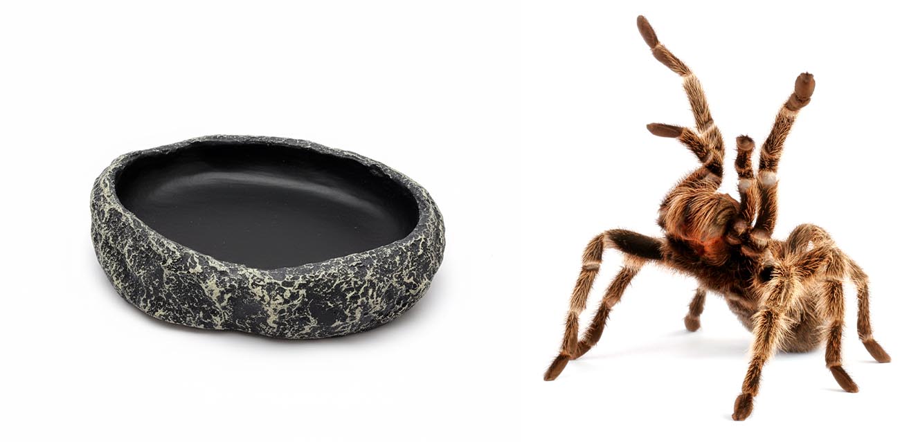 Miseczka XS do terrarium na wodę i pokarm