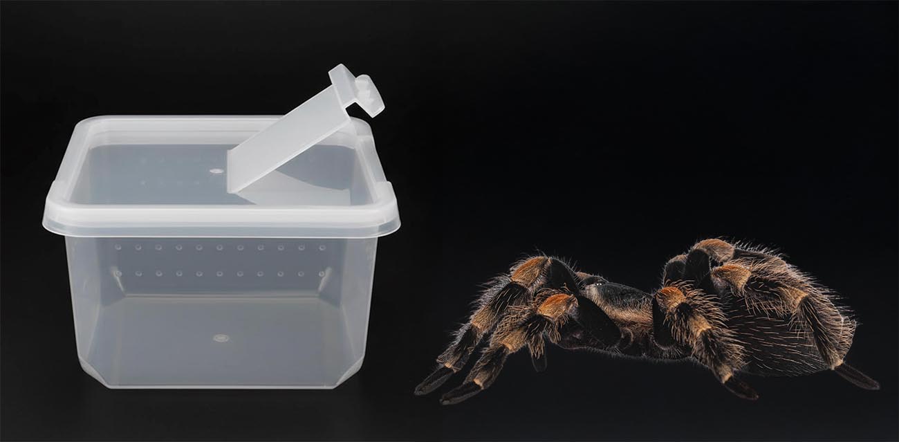 Pojemnik dla ptasznika z klapką typu BraPlast 12x12x7 cm
