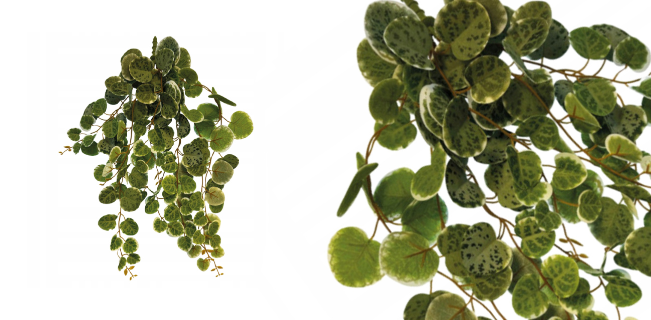 Repto Plant Hanging Round Leaves 46 cm – naturalistyczna roślina wisząca
