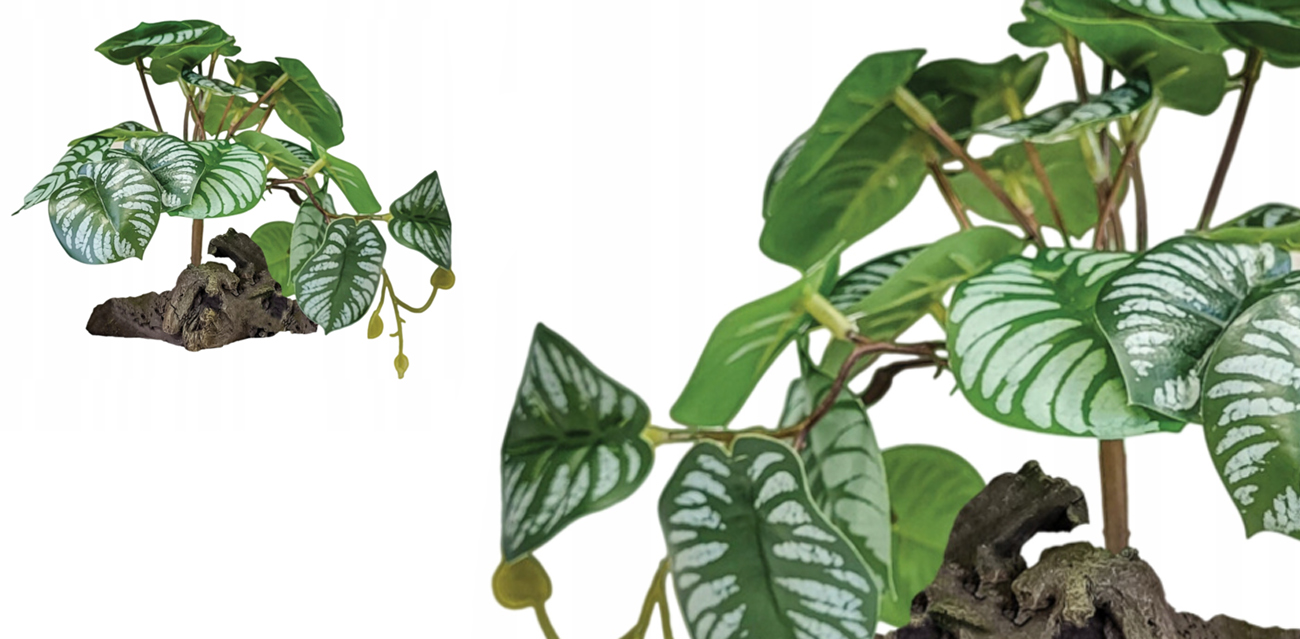 Repto Plant On Deco Begonia (23x19 cm) – realistyczna roślina stojąca