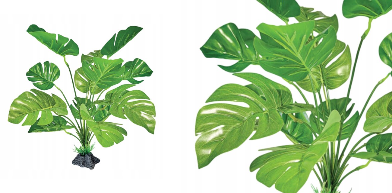 Repto Plant Monstera (33x29 cm) – egzotyczna roślina stojąca