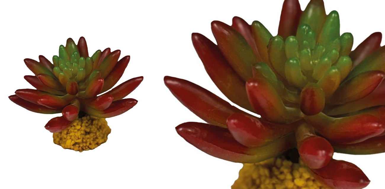 Repto Plant Succulent Red - Czerwony sukulent na podstawie