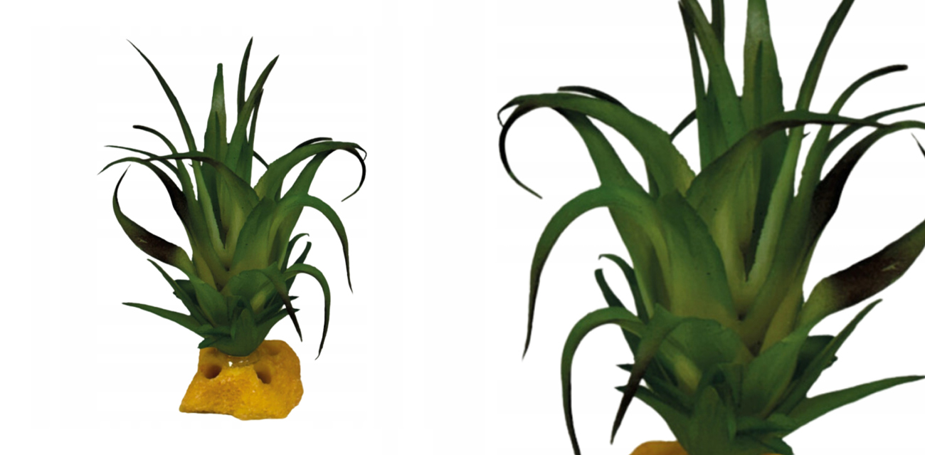 Repto Plant Tillandsia 6x7 cm – sztuczna oplątwa