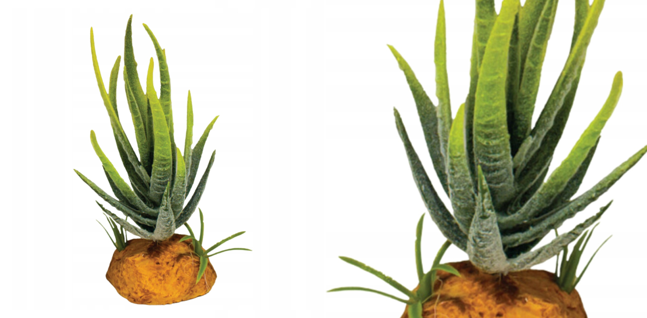 Repto Plant Aloe Green (6x11 cm) – sztuczny aloes