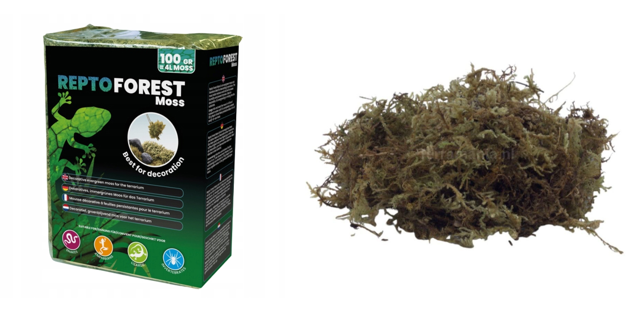 Repto Forest Moss – sprasowany mech leśny 100g (ok. 4L)