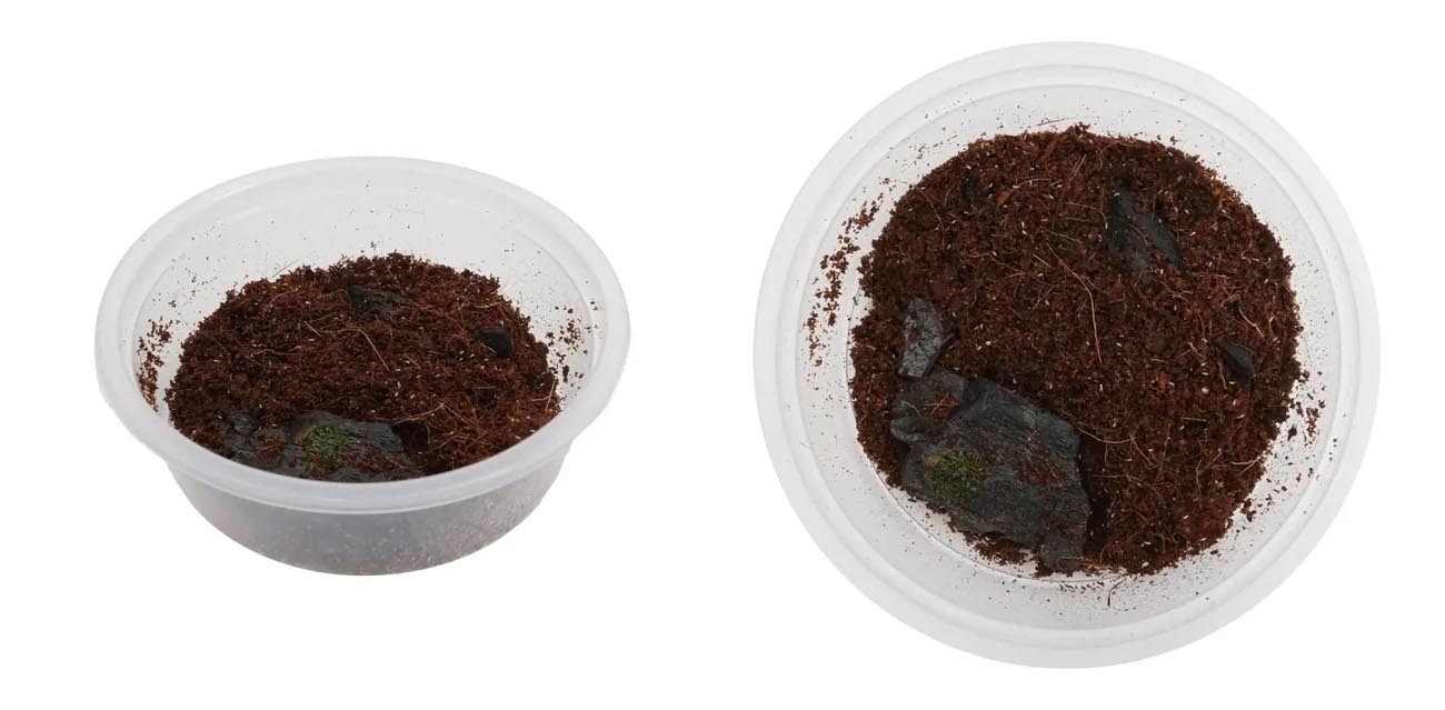 Skoczogonki (250 ml) - Niezawodna ekipa sprzątająca