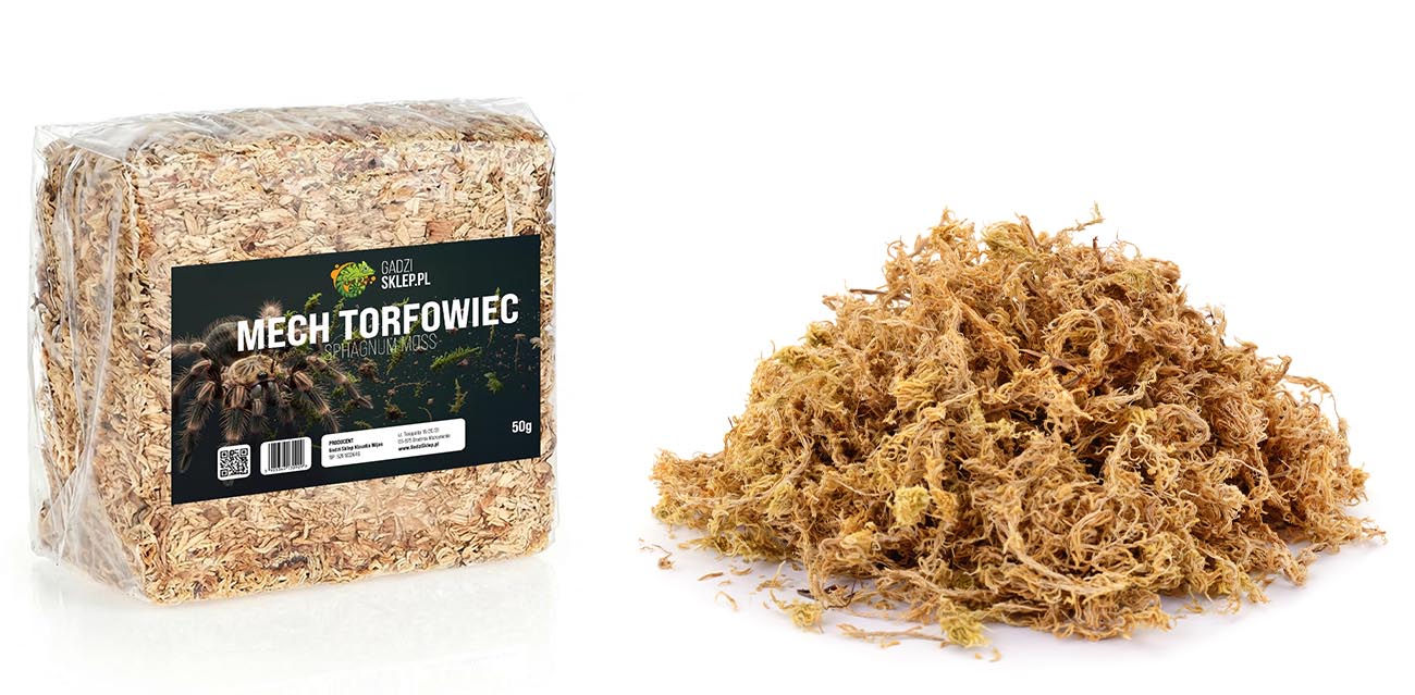 Mech torfowiec 50g - Sphagnum Moss