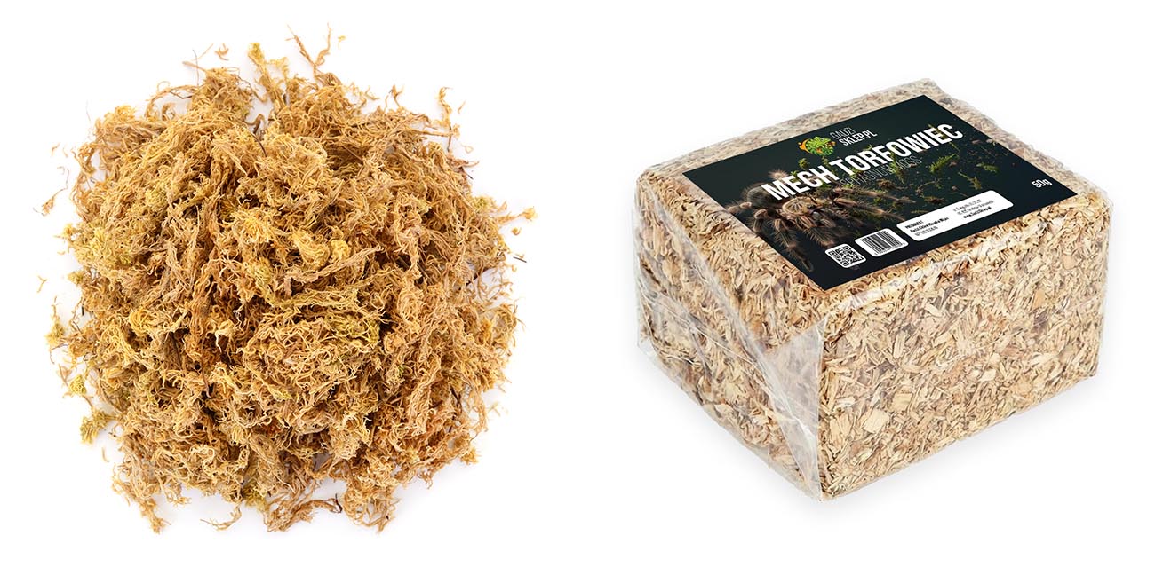 Sphagnum - mech torfowiec, który działa!