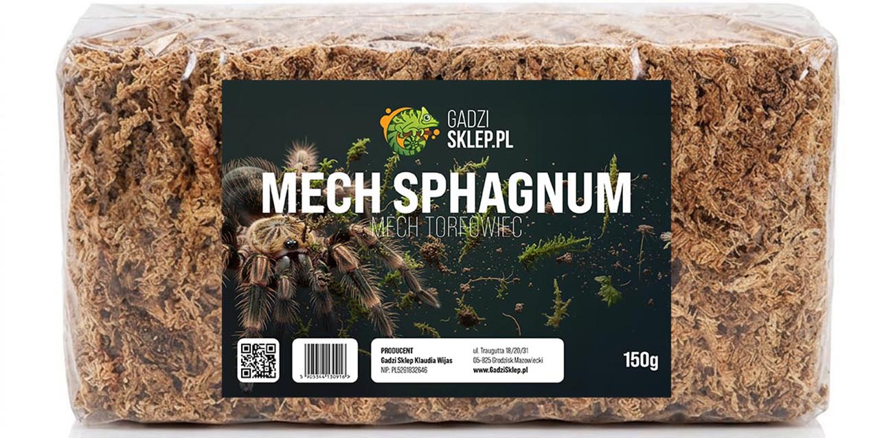 Sphagnum - mech torfowiec, który działa!
