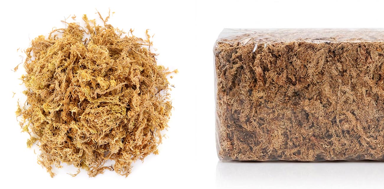 Mech torfowiec - Sphagnum Moss 150g