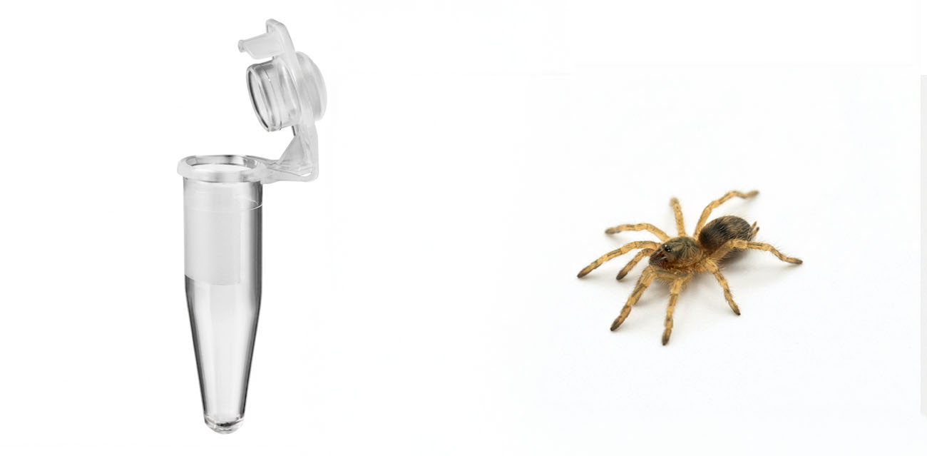 Probówka wirówkowa typu eppendorf 1,5 ml