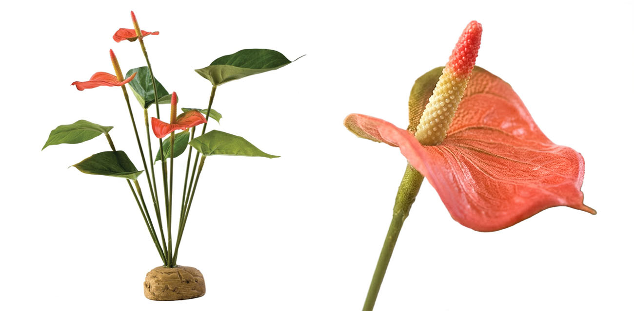 Roślina sztuczna – Anthurium Bush EXO TERRA