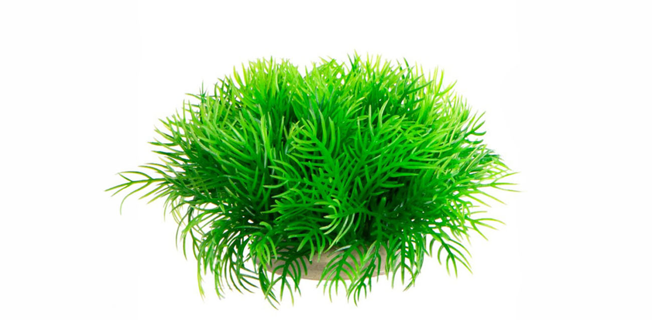 Kruger Meier Roślina sztuczna Plant Slim Green 7 cm
