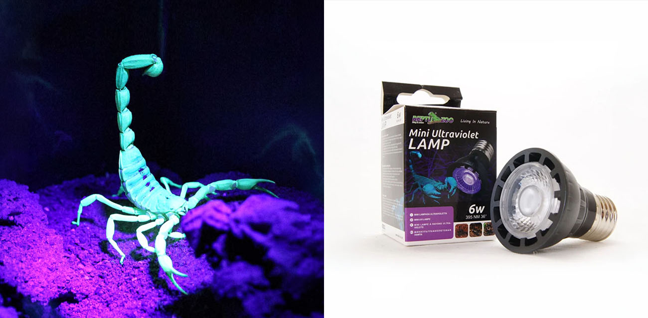 Lampa LED fioletowa UV dla skorpionów Mini UV LED 6W Repti-Zoo