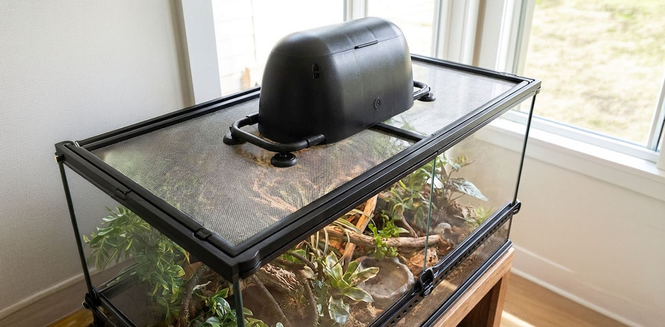 Dlaczego chłodzenie terrarium jest tak ważne?
