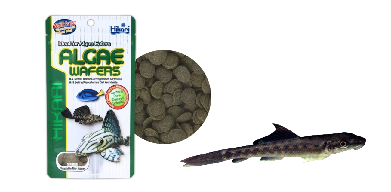 Hikari Algae Wafers (20g / 50ml) - Pokarm dla Glonojadów
