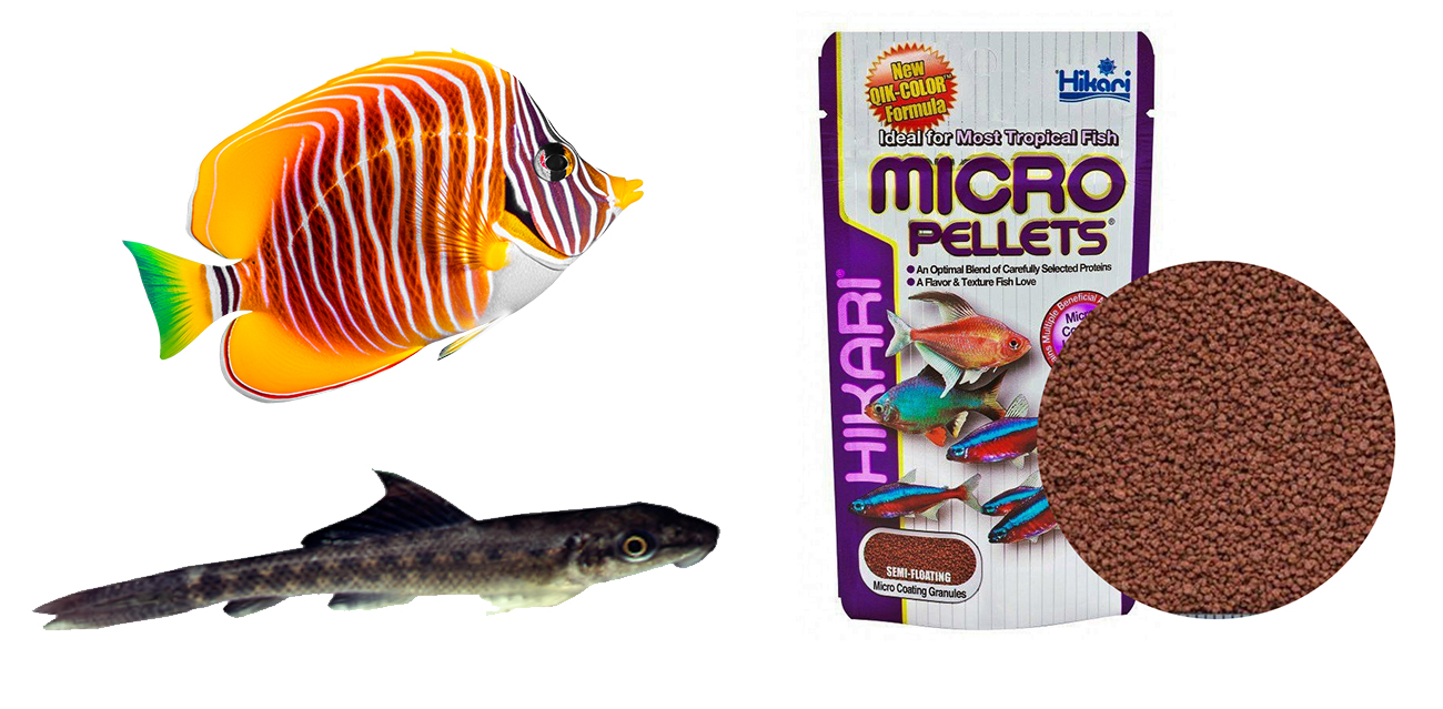 Hikari Micro Pellets - Uniwersalny granulat dla małych ryb